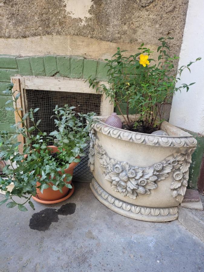 Secret Garden Apartment Zagreb Exterior foto